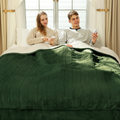 Electric Blanket King Size 100" x 90" - Soft Flannel Sherpa Heating Blanket King with Dual Control, 5 Heating Levels & 10 Hours Auto Off, Heated Blanket with ETL Certification (Green)